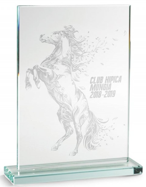 trofeo cristal 21*14