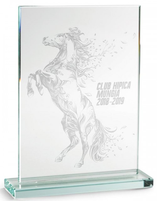 TROFEO CRISTAL 21*14