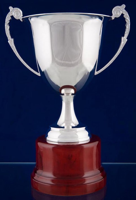 copa bao de plata 17cm