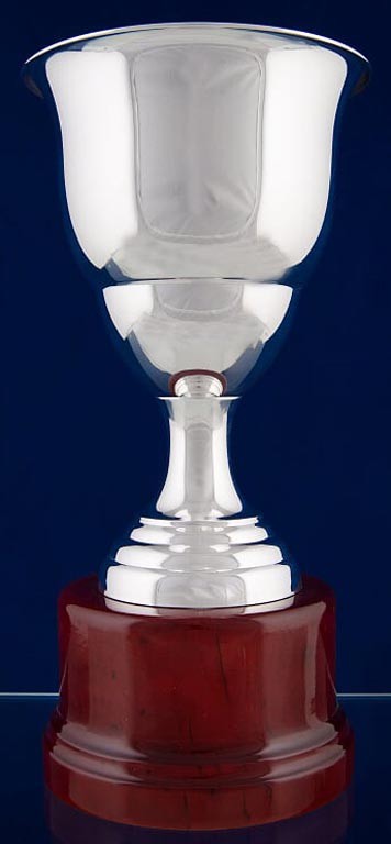 copa bao de plata 20cm