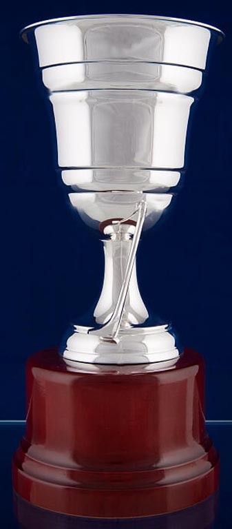 copa bao de plata 16cm