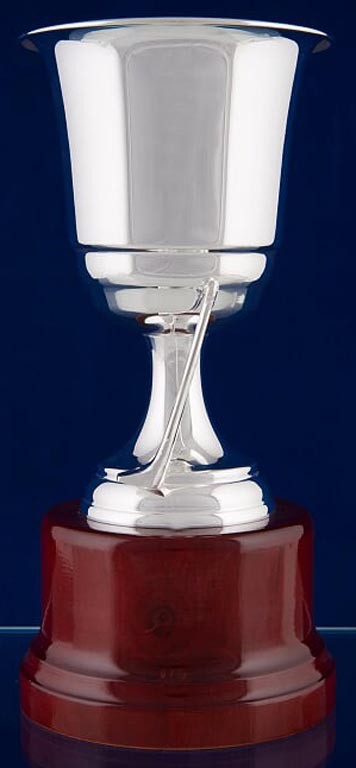copa bao de plata 17cm