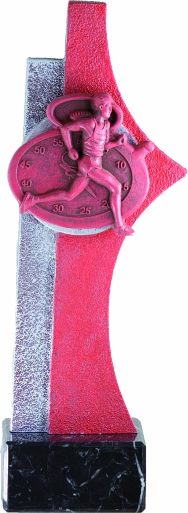trofeo porta discos 21 cm.