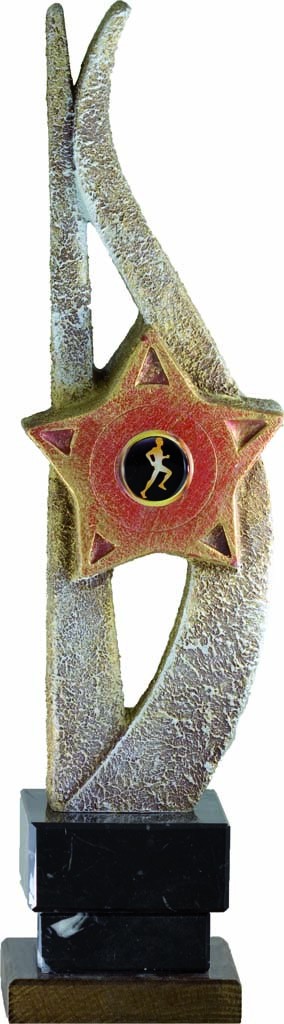 trofeo porta discos 29 cm.