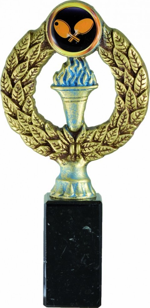 trofeo porta discos 18 cm.