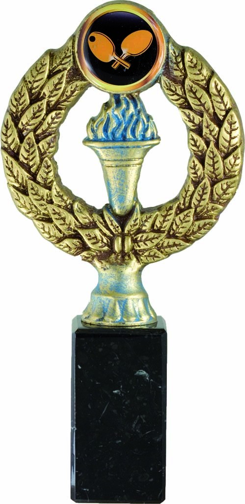 TROFEO PORTA DISCOS 18 cm.