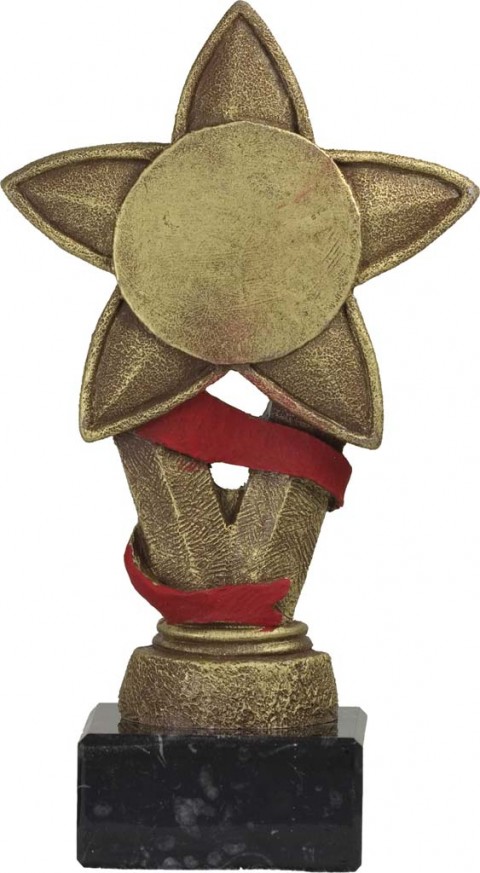 trofeo porta discos 17 cm.