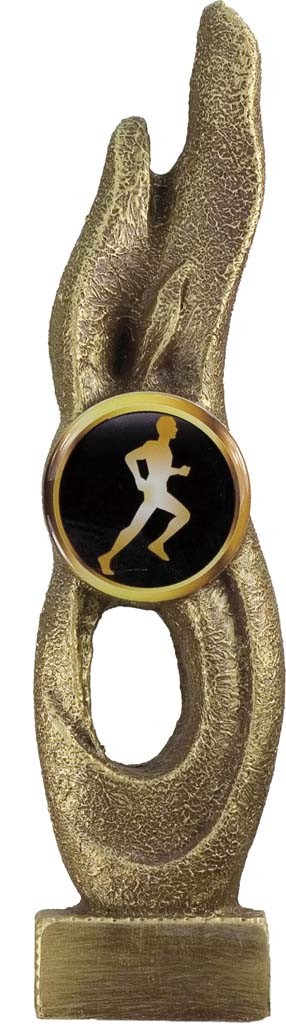 trofeo porta discos 21 cm.