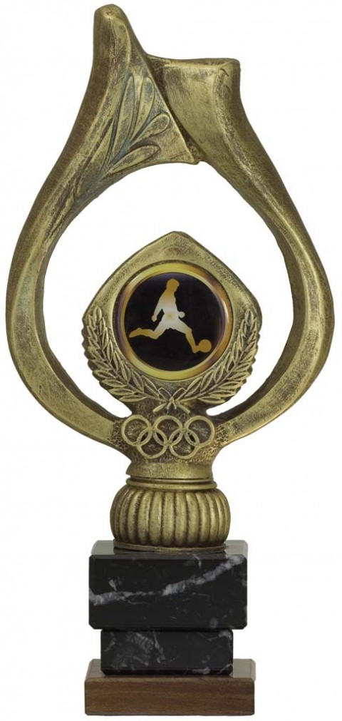 trofeo porta discos 26 cm.