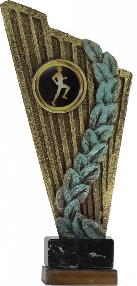 trofeo porta discos 27 cm.