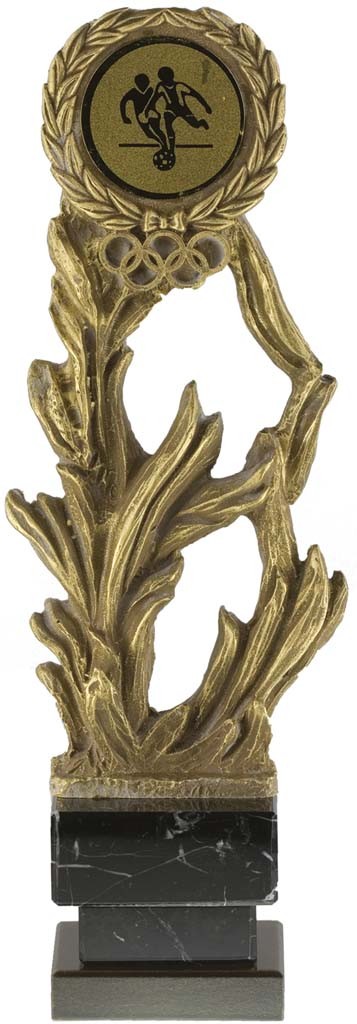 trofeo porta discos 27 cm.
