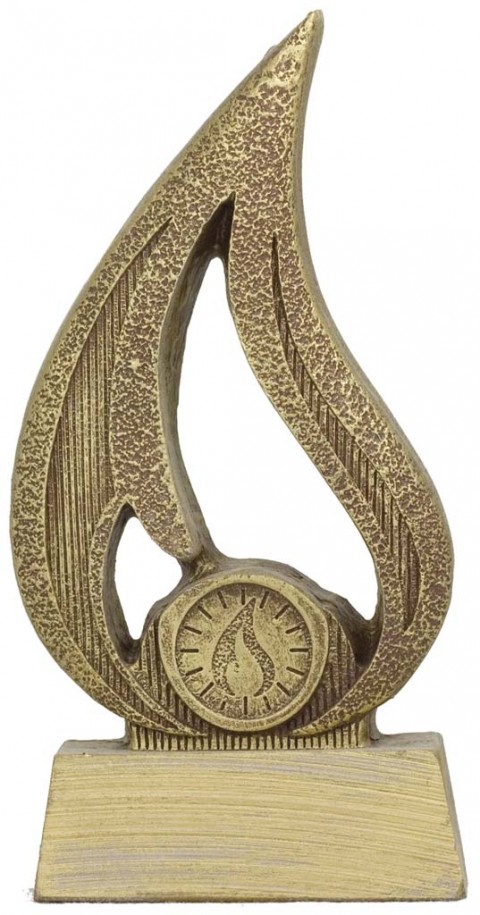 trofeo porta discos 16 cm.