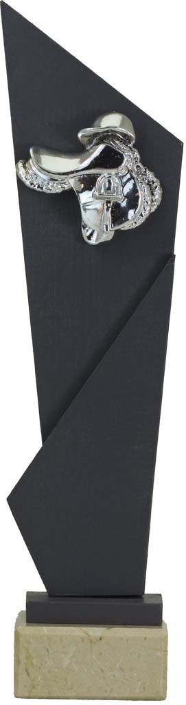 trofeo porta discos 22 cm.