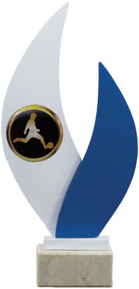trofeo porta discos 17 cm.