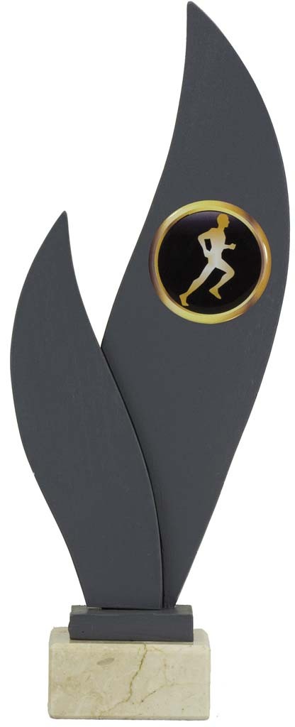 trofeo porta discos 22 cm.