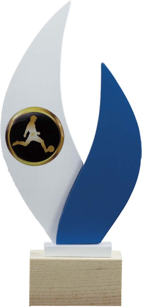trofeo porta discos 18 cm.