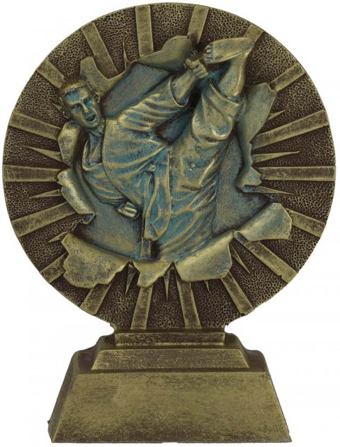 trofeo resina karate 15 cm.