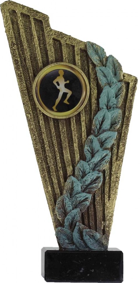 trofeo resina portadiscos 27 cm.