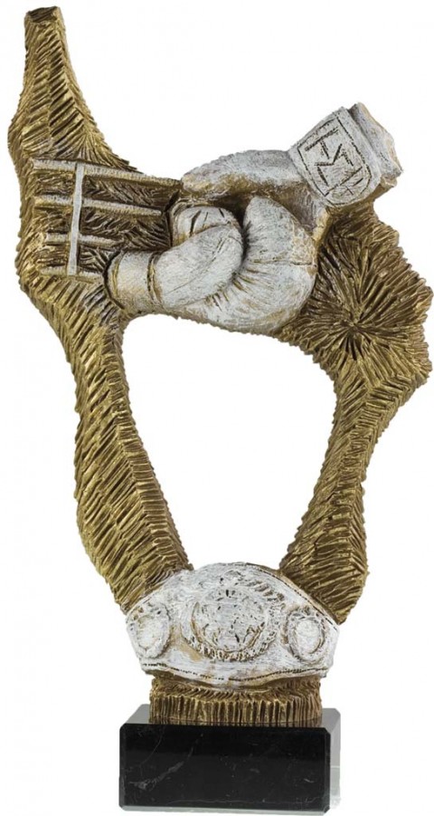 trofeo resina boxeo 26 cm.