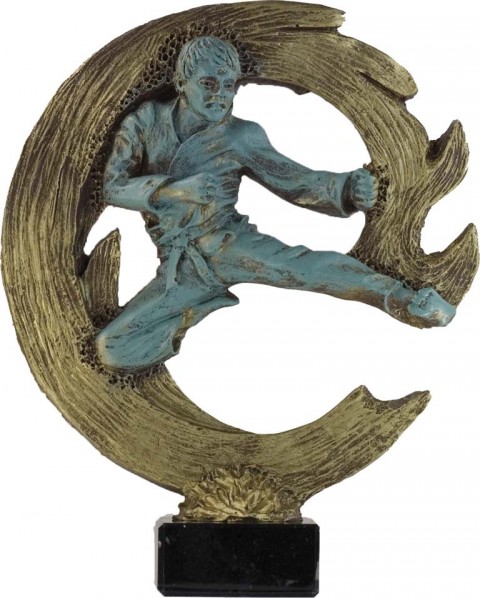 trofeo resina karate 24 cm.
