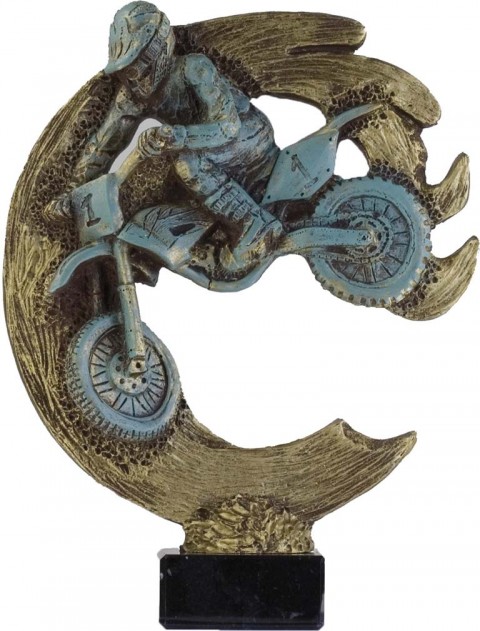 trofeo resina motociclismo 24 cm.
