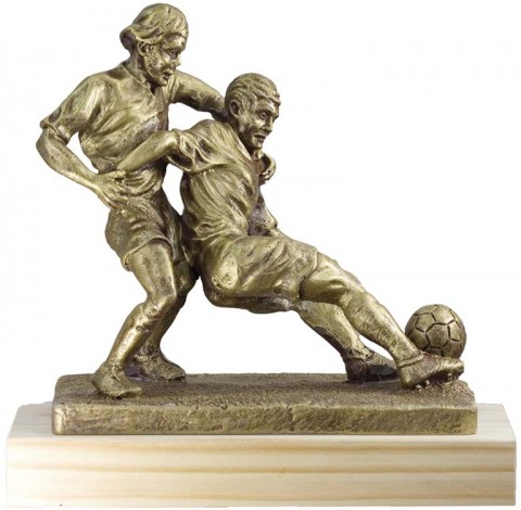 trofeo resina futbol 22 cm.