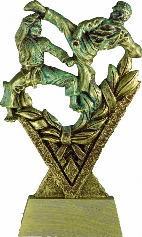 trofeo resina karate 17 cm.