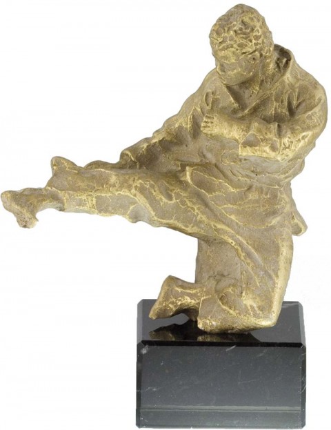 trofeo resina karate 15 cm.