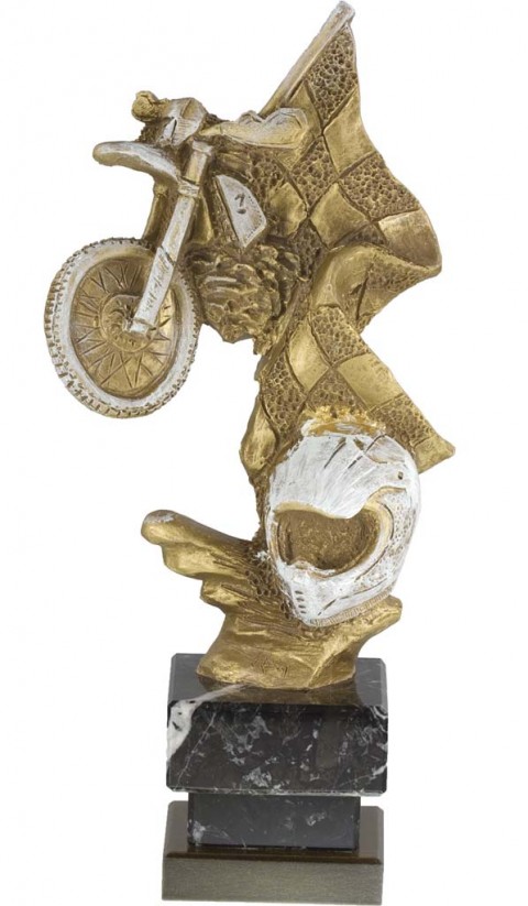 trofeo resina motociclismo 25 cm.