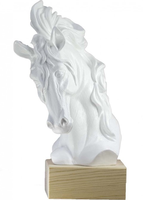 trofeo resina hipica 30 cm.