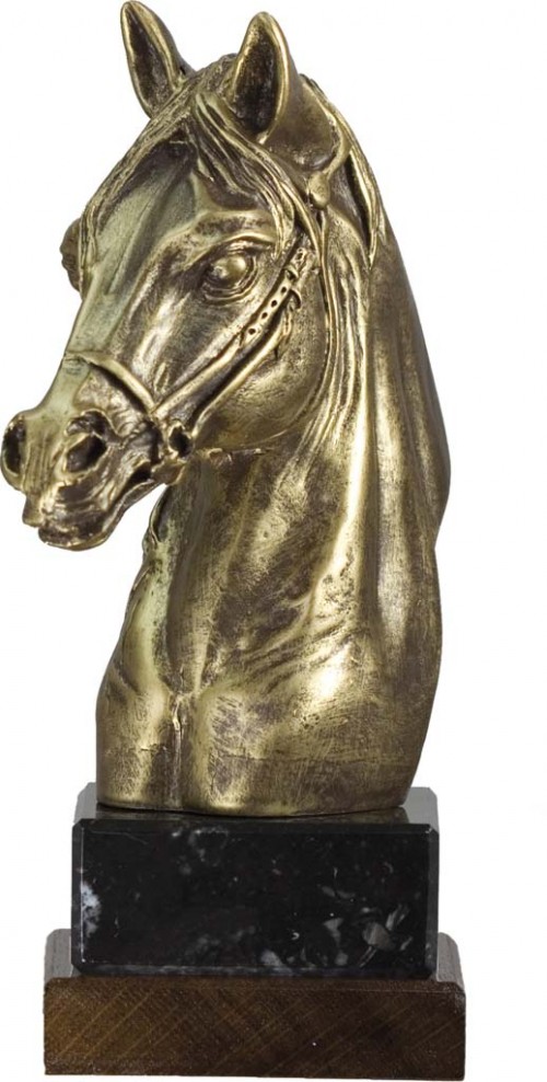 TROFEO RESINA HIPICA 19 cm.