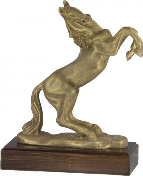 trofeo resina hipica 23 cm.