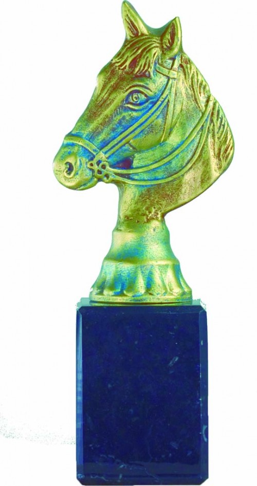 TROFEO RESINA HIPICA 16 cm.