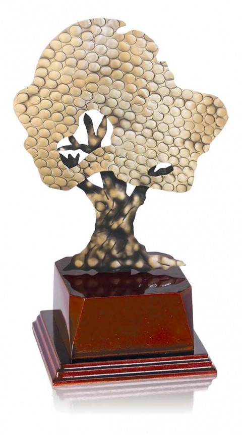 (278)  trofeo soldart olivo 