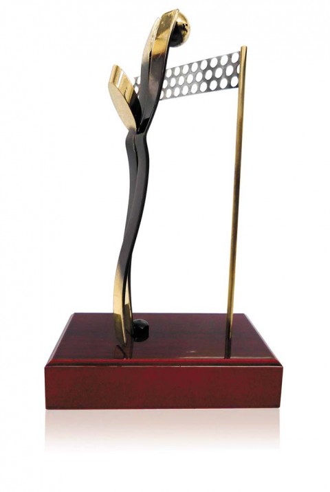 (270)  trofeo soldart voleyball 