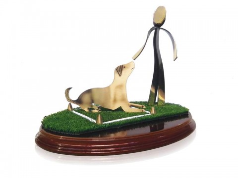 (272)trofeo soldart agility 20 cm