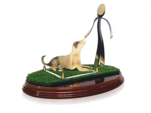 (272)TROFEO SOLDART AGILITY 20 cm