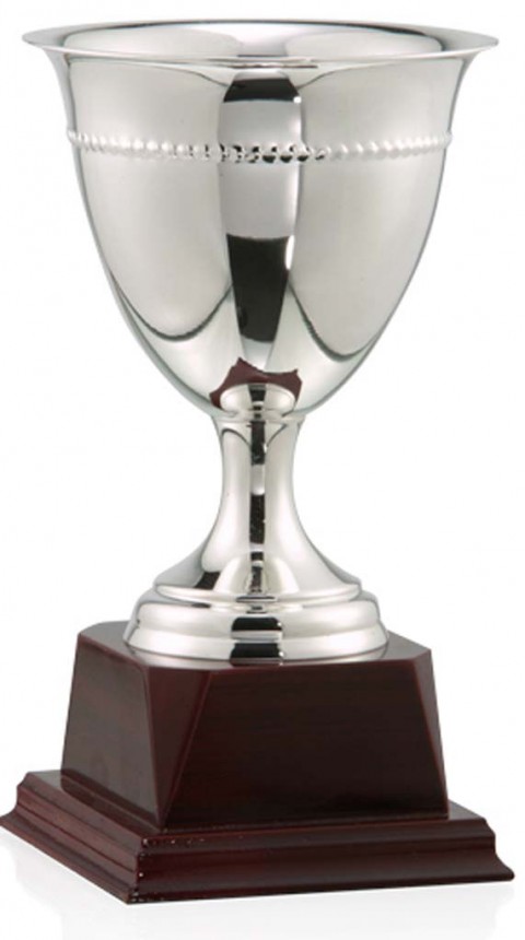 (102)copa bao de plata 14 cm