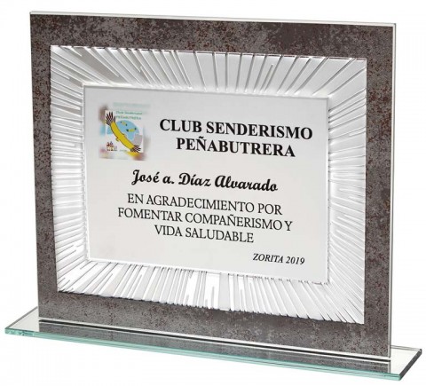 (117)soporte de cristal + placa 27 x 21 cm