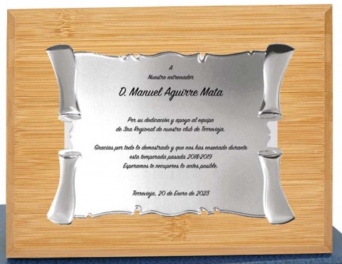 (119)placa + madera premium 24 x 19 cm