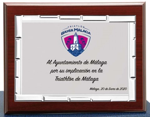 (121)placa + madera economica 14 x 11 cm