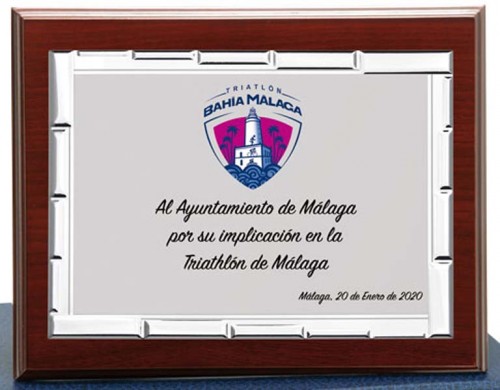 (121)PLACA + MADERA ECONOMICA 14 X 11 cm