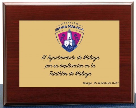 (121)placa aluminio  oro + madera + estuche 14 x 10 cm