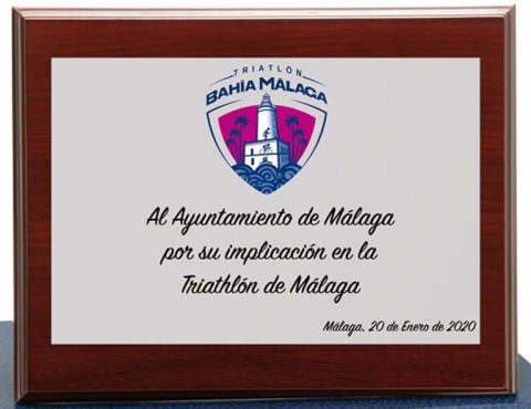 (121)placa aluminio plata + madera + estuche 14 x 10 cm