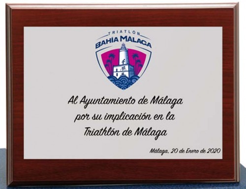 (121)PLACA ALUMINIO PLATA + MADERA + ESTUCHE 14 x 10 cm