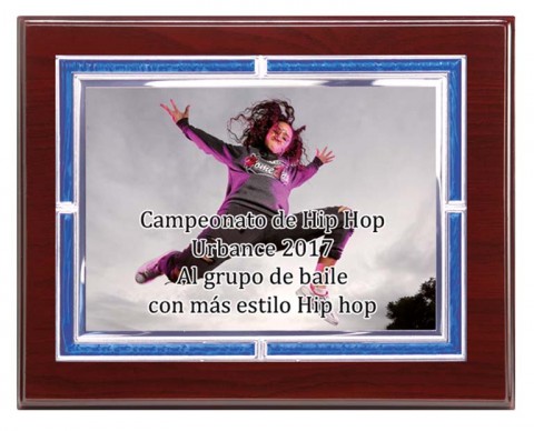 (123)placa + madera economica 21 x 17 cm