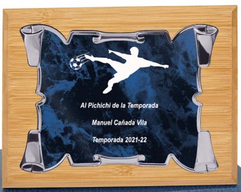 (124)placa + madera premium 21 x 17 cm
