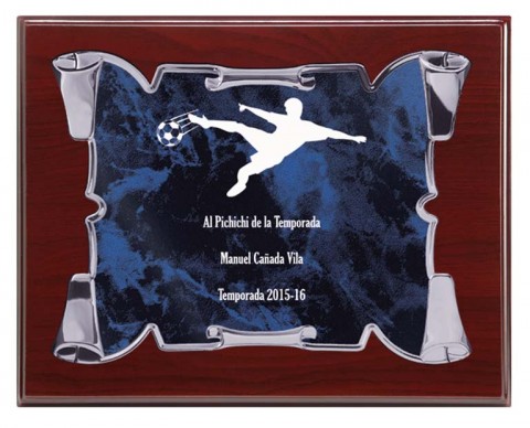 (124)placa + madera economica 21 x 17 cm