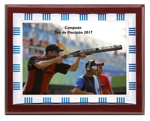 (125)placa + madera economica 21 x 17 cm