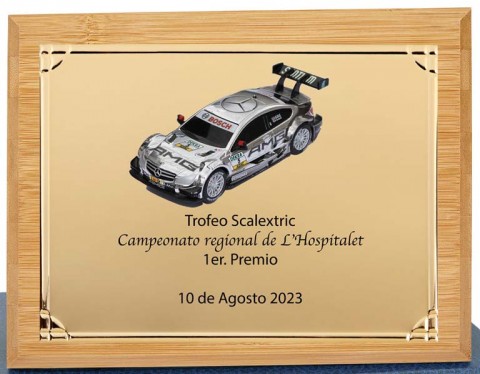 (126)placa + madera premium 21 x 17 cm
